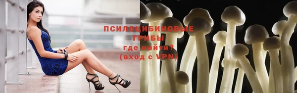индика Покачи
