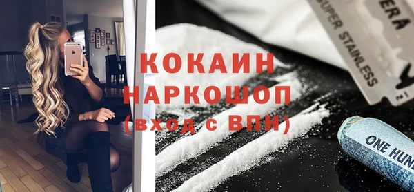 СК Алексин