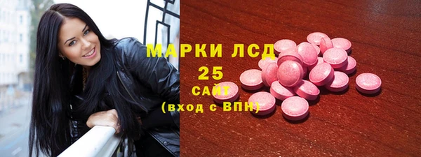СК Алексин