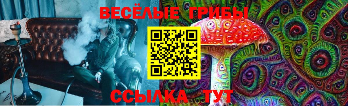 магазин продажи наркотиков  Вход с VPN  Шахты  Галлюциногенные грибы мицелий 