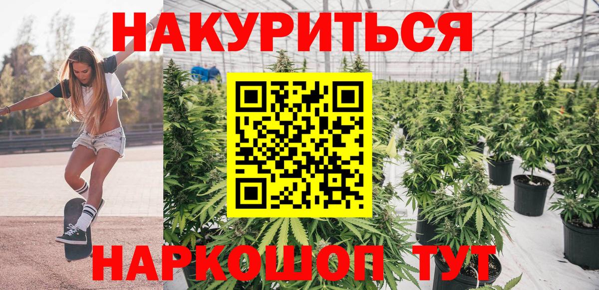 Шишки марихуана White Widow Шахты