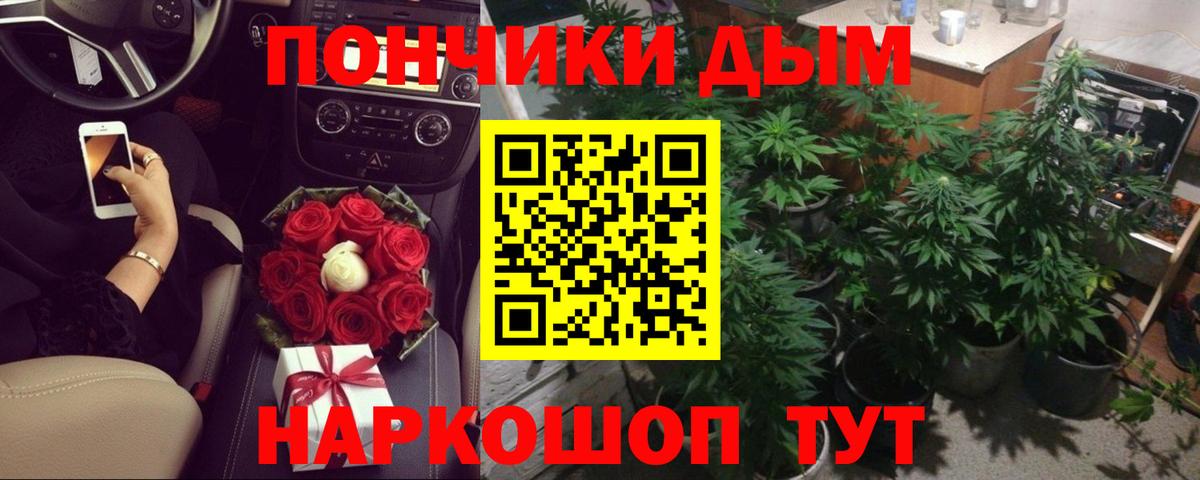 Канабис White Widow  Вход с VPN  МАРИХУАНА планчик  Шахты  Марихуана сатива 